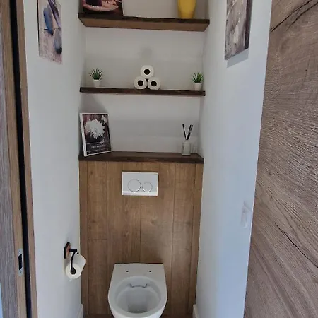 Le Cosy Du Theatre, Duplex Confortable Au Centre De Шамбери