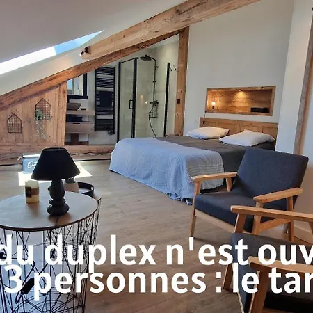 Le Cosy Du Theatre, Duplex Confortable Au Centre De Apartment *